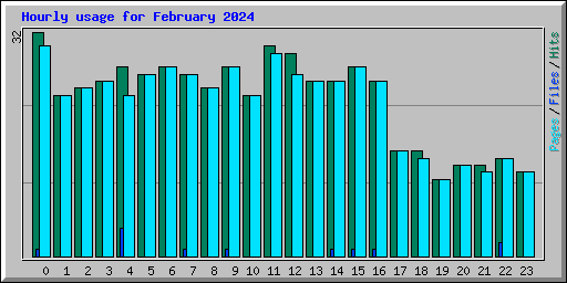 Hourly usage for February 2024